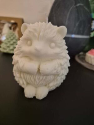 20251113_102118 Bougie hérisson