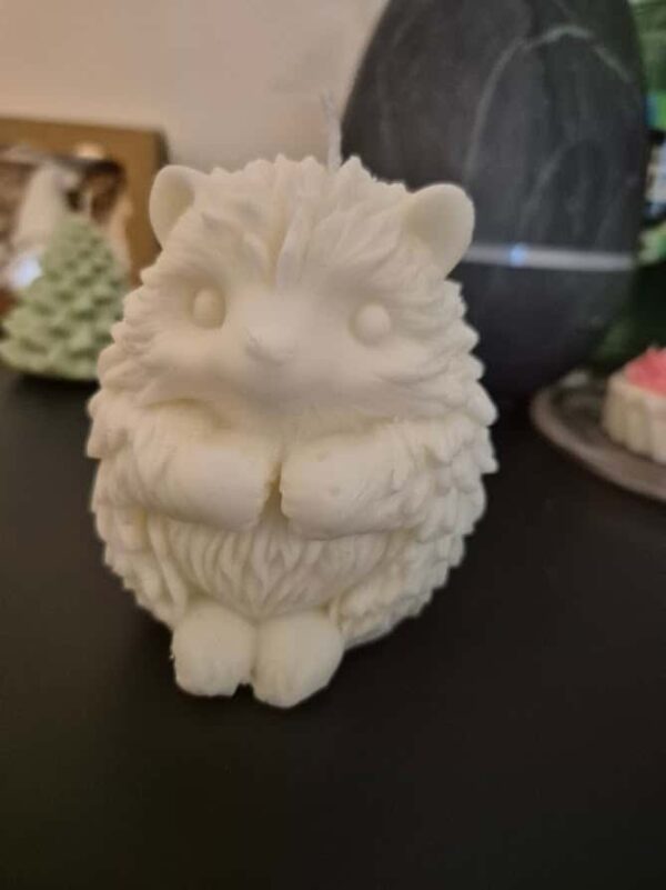 20251113_102118 Bougie hérisson