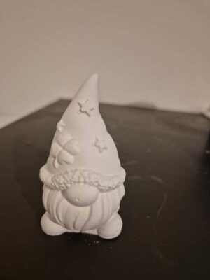 20251123_160253 Lutin étoile